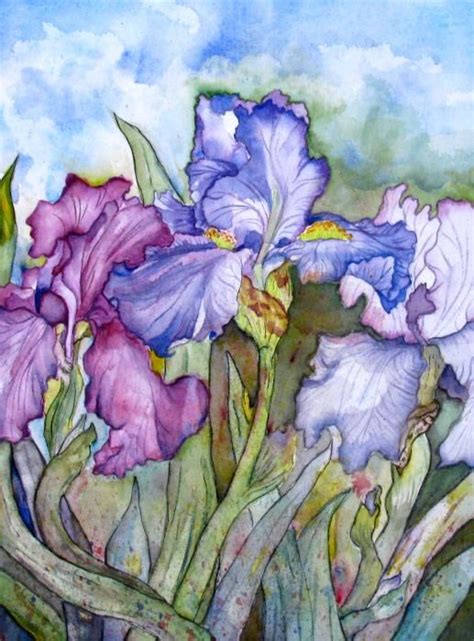 Iris Watercolor Paintings Little Sister This Beautiful