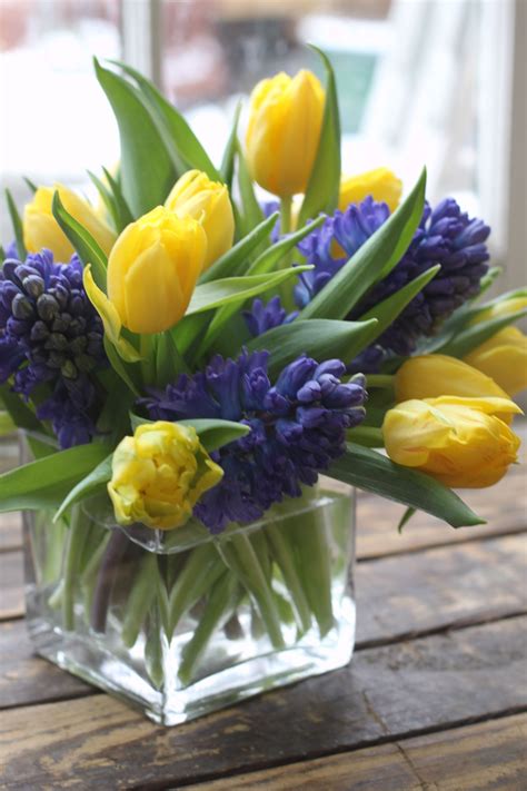 Yellow Tulip Blue Hyacinth Spring Flowers Tulips Arrangement Spring