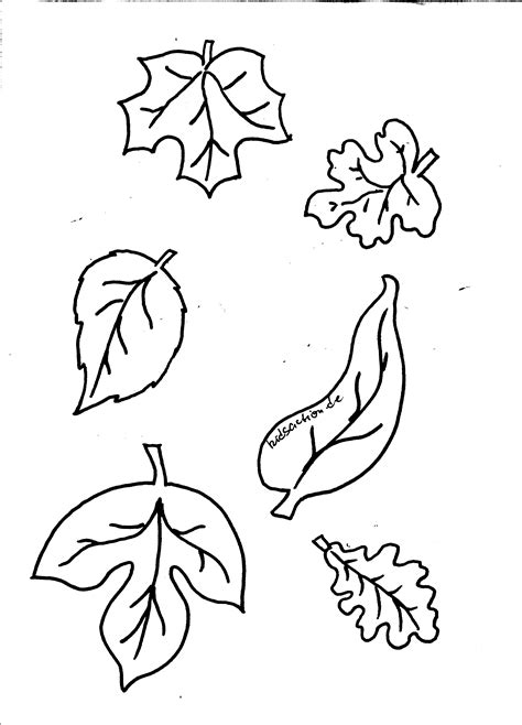 Auf a4 ausdrucken und einmal auf a5 falten, der üblichen größe für stenoblöcke; Herbstblätter Basteln Malvorlagen | Malvorlagen, Herbst blätter
