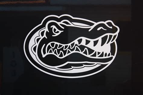 Florida Gators Wallpaper Hd Pixelstalknet