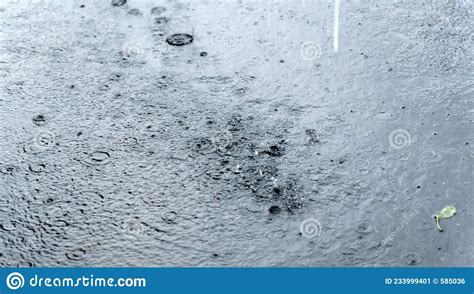 Rain Over A Puddle Ripples On The Surface Of The Water When Raindrops