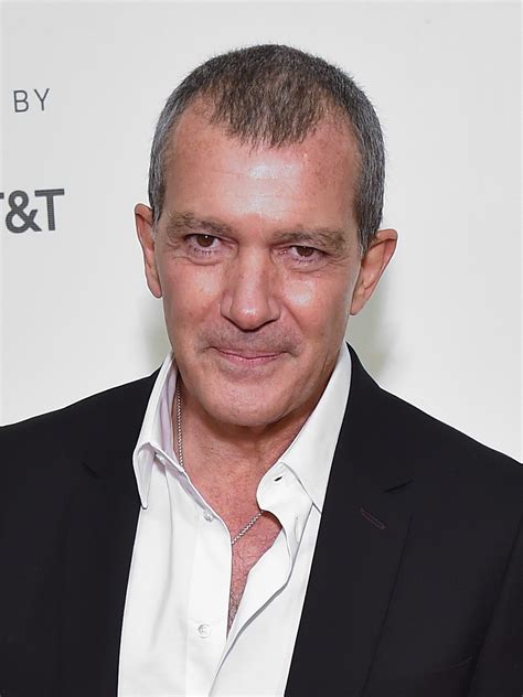 You are looking more information about antonio banderas height, weight, family, age, net worth, biography, photos and other. Antonio Banderas - AdoroCinema