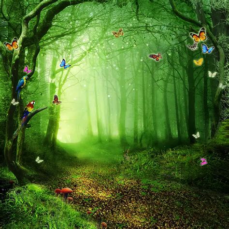 Fairy Tale Wonderland Enchanted Forest Background Mushrooms Old Trees