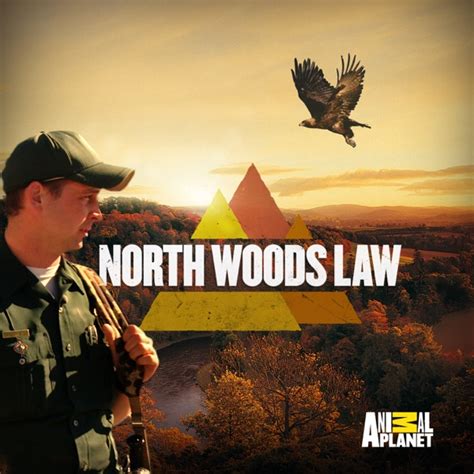 Watch North Woods Law Season 9 Episode 5 Under Suspicion Online 2019