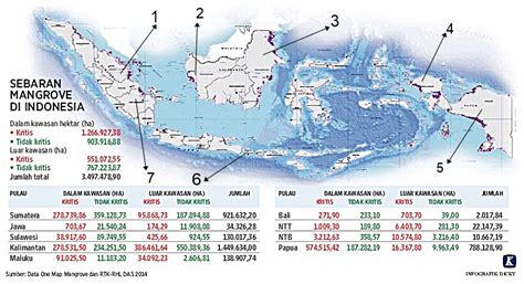 Peta Persebaran Hutan Mangrove Kalimantan Sexiz Pix