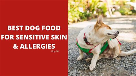 Top 10 Best Dog Food For Sensitive Skin And Allergies 2023 Dog Fluffy