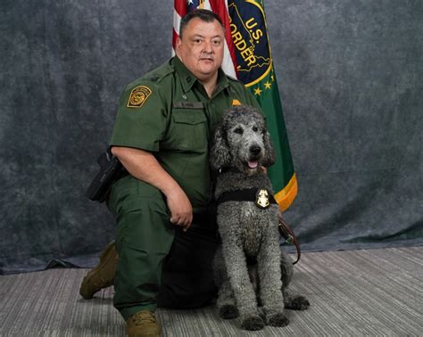 The New Border Patrol K 9 Chappy Has A Special Role To Be A Good Boy