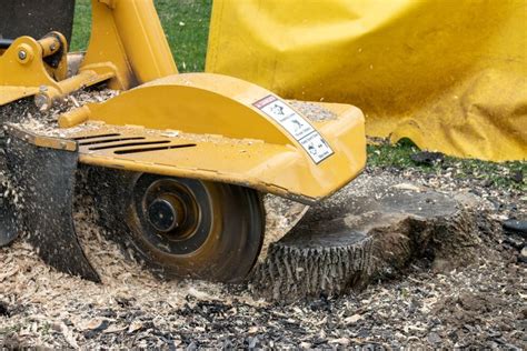 The Importance Of Properly Classifying Stump Grinding Operations