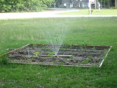 16 Cost Effective Diy Sprinkler System Ideas For Lawn And Garden