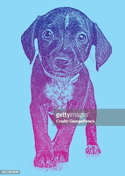 Illustrations Cliparts Dessins Animés Et Icônes De Puppy Dog Eyes
