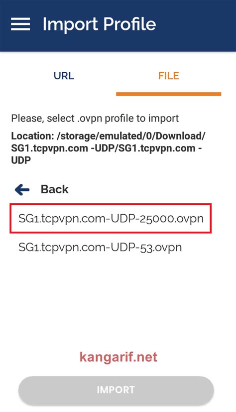 Cara membuat vpn bisa dilakukan pada pc ataupun pada android secara gratis. Cara Membuat Config OpenVPN by.U Topping Instagram - Kangarif.net