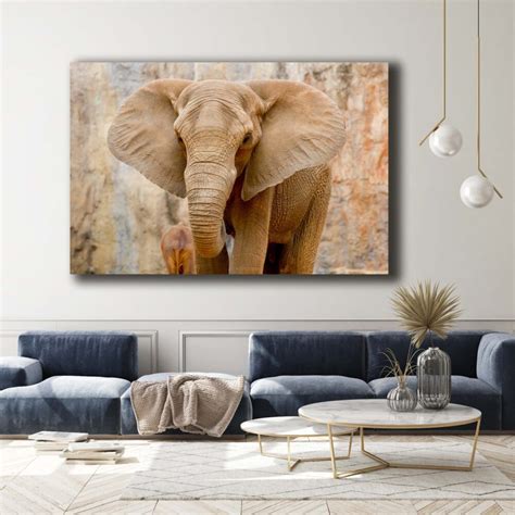Urban Elephant Stocky Art Is Fotokunst Op Plexiglas En Dibond