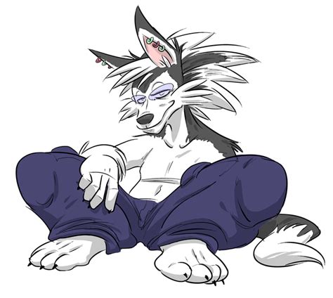 Commissionsilentwulf By Pawfeather On Deviantart