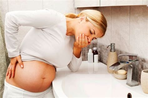 Los Vómitos En El Embarazo Causas Y Cómo Evitarlos Natursan