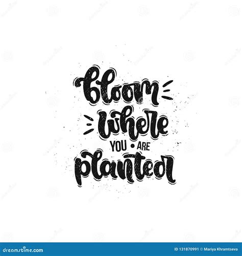Bloom Where You Are Planted Stock Vector Illustration Of Cursive