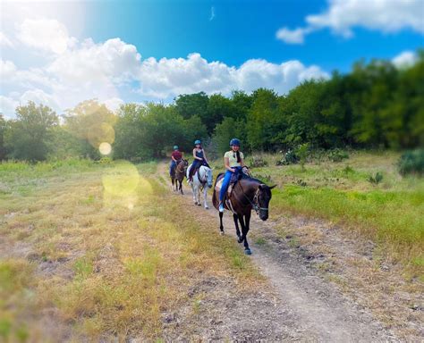 Our Guide To The Best Horseback Riding Trails In The Greater Austin