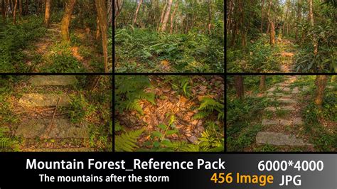 Artstation Mountain Forestreference Pack Resources