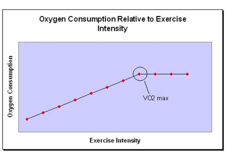 vo2 max aerobic powerand maximal oxygen uptake sport fitness advisor