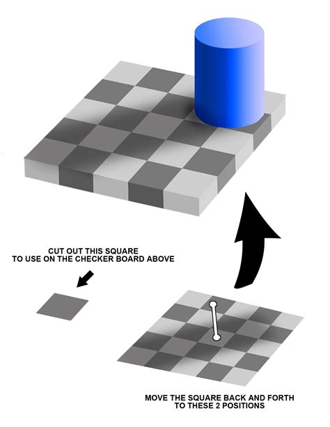 The Checker Shadow Illusion Redux Why Evolution Is True