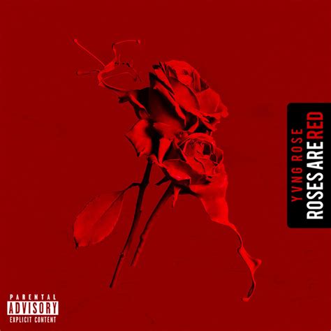 roses single by yvng rose spotify