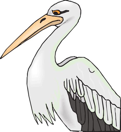 Large Beak Clipart 20 Free Cliparts Download Images On Clipground 2023