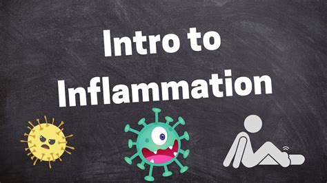 Introduction To Inflammatory Response Youtube