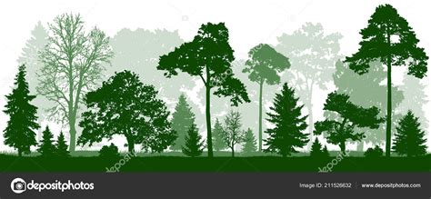 Forest Green Trees Silhouette Nature Park Landscape Isolated Seamless