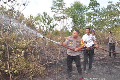 Pelaku Pembakaran Hutan Di Belitung Timur Diancam Dipenjarakan ANTARA