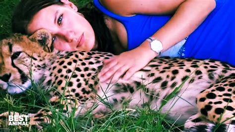 Sexy Girl And Cheetah S Incredible Friendship Hd Youtube