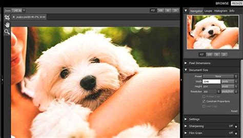 How To Resize And Make Images Larger Without Losing Quality