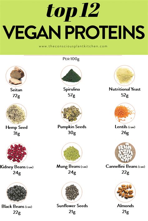 Sources Of Vegan Protein