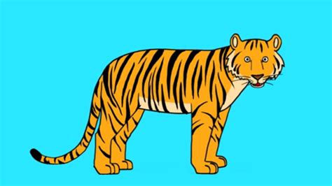 Apprends à Dessiner Un Tigre En 3 étapes Youtube