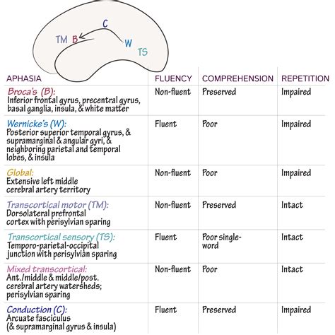 Pathology Glossary Language Disorders Draw It To Know It