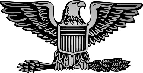 Eagles Clipart Badge Eagles Badge Transparent Free For Download On