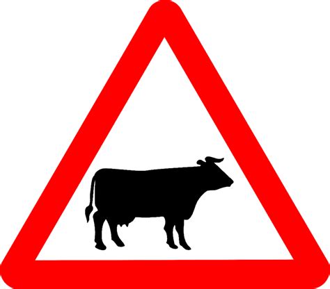 Cattle Signs In The Uk How To Best Read Them Oinks And Bots