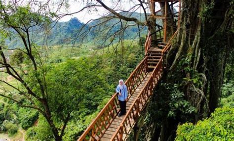 #tamanselfi#anekabunga#balonudara#jembatanunik# tempat wisata murah meriah. Tempat Liburan di Bogor yang Menyenangkan | Portal Seputar Cimanggu Bogor