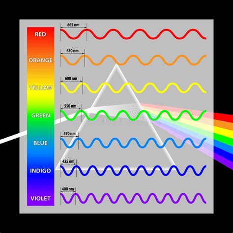 Wavelength Colors In The Spectrum Stock Vector Illustration Of Inside