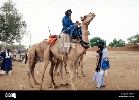 Tuareg Tribesmen In Traditional Dress With Their Camels At A Weekly
