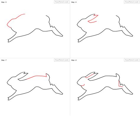 Step How To Draw A Rabbit Draw Rabbit Step Sketch Head Learn Help