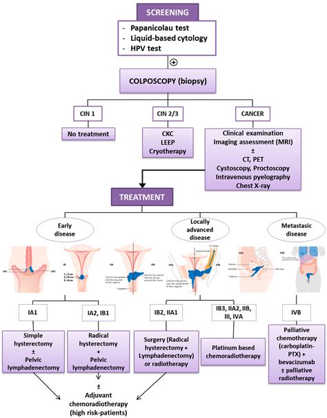 Pathophysiology Of Cervical Cancer