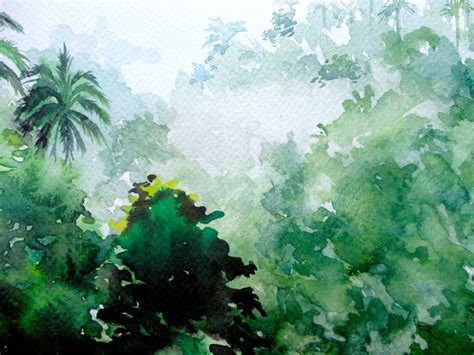 Pin By Rafael On Brazilian Tropical Rainforest Watercolors Painting