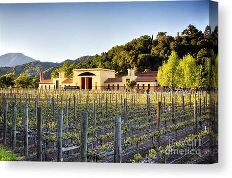 Napa Valley Spring Sunset Canvas Print Canvas Art By George Oze