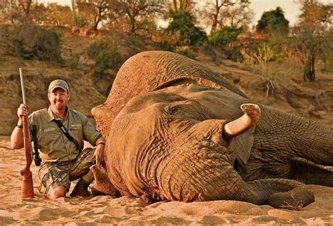 Real experts our staff are automotive stylists that know the latest trends and styles, so we can give our customers the custom rims and tires they want. Tim Herald - Worldwide Trophy Adventures