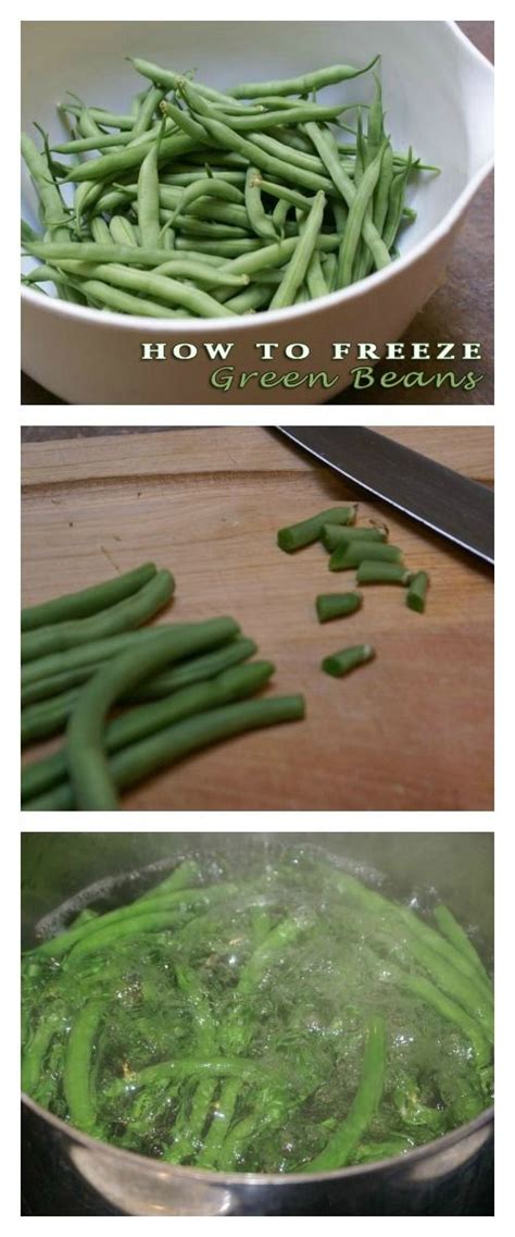 Green beans out of season ? How to Freeze Green Beans | Green beans, Frozen green ...