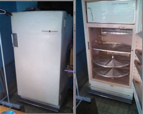 1959 General Electric Refrigerator Antique Vintage 1 Citrus