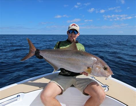 How To Catch Amberjack And Samson Fish Tackle Tactics