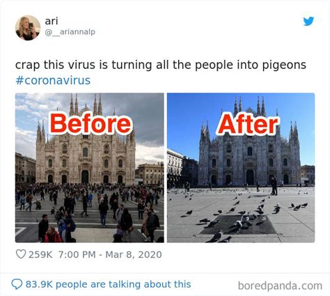 30 Memes Roasting Those Who Travel The World Despite The ...
