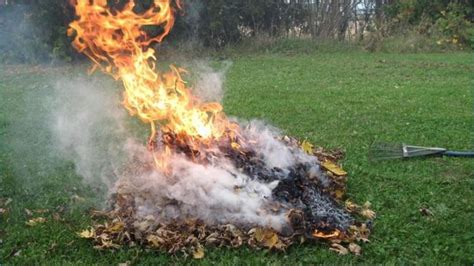 But is burningsw coming back? Residents asked to reconsider burning yard debris due to ...