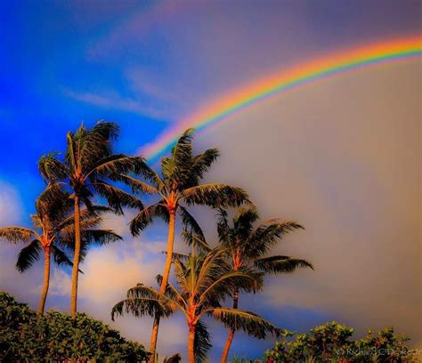 Rainbow Over Palm Trees What A Beautiful World Beautiful World Hawaii