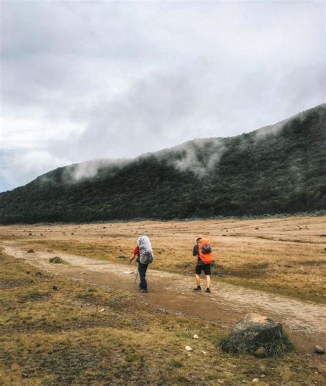 Gunung Gede Pangrango Dibuka Kembali Berikut Syaratnya